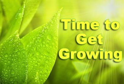 Spring Home & Garden Series at the Library