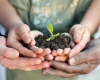 Help Our Community Grow: Become a Community Garden Mentor!