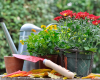 Free Fall Container Gardening Seminar