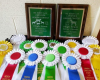 4-H Livestock Judging Team Wins Awards