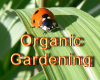 Advanced Organic Gardening with Mary Jac Brennan