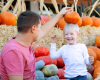Pumpkin Pick Hayrides at Tanglewood Park