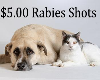 Low-cost Rabies Clinic to be held April 20 at Dixie Classic Fairgrounds Cattle Barn