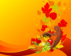 Thanksgiving Library closings