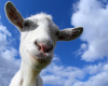 2013 National Goat Conference