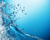 Project WET will be offered at Tanglewood Park on Friday, March 14, 2014 from 9:30 am – 4:30 pm.
