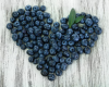 Blueberry Season is Here!