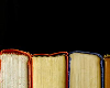 Friends of the Central Library fall book sale