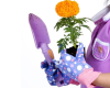 Indoor Gardening for Kids at Lewisville Library
