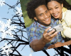 Introduction to Genealogy Online