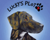 Lucky