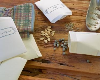 Southside Presents Seed Saving, Fall Gardening program