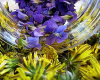 Spring into Herbs in Walkertown Saturday March 8, 12:30 am