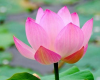 Free Yoga Class in Walkertown on Thursday, December 12th