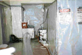 Asbestos