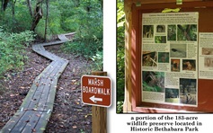 A portion of the 183-acre wildlife preserve located in Historic Bethabara Park