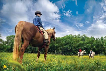 Visit Tanglewood Stables