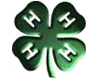 4-H Members Win Honors