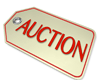 Surplus Auction Begins on February 3rd