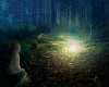 Campfire Songs and Stories