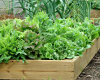Home & Garden Series