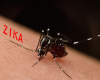 First Confirmed Travel-Related Case of Zika Virus	