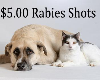 Get Your Pet Vaccinated Against Rabies