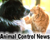 Forsyth County Animal Control Advisory Board Invites Public Comment