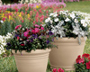 Fall Container Gardening Seminar