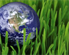 Earth-Day Themed Storytelling for Homeschoolers at Walkertown