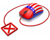 Absentee Ballot Requests and Online Application