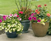 Free Container Gardening Seminar