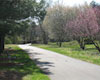 Greenway Plan Update