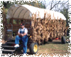 Pumpkin Pick Hayrides at Tanglewood Park