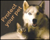Low-cost Rabies Clinic to be held April 21