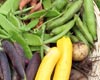 Advanced Vegetable Gardening