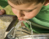 Making Better Beverage Choices: Tips to Get Started