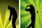 2013 Golf Clinics