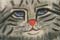Michele Manderine:  Tristan the Maine Coon Cat