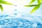 Yadkin Riverkeeper