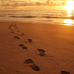 When a Loved One Dies