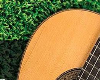 Pickin