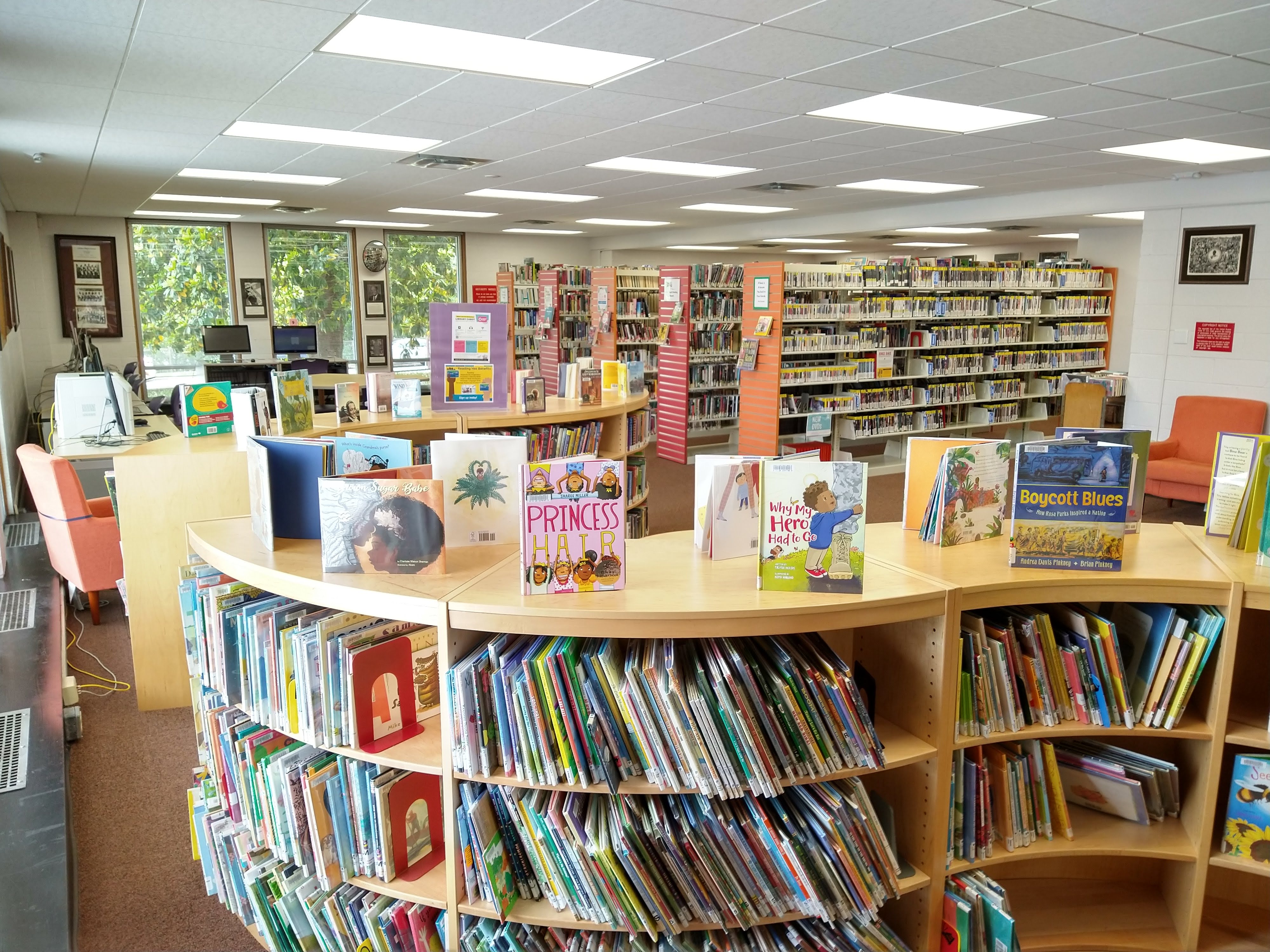 Main Shelves