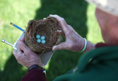 Bill Abbey Inspects Nestbox