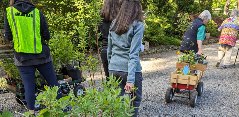 Spring 2024 Plant Sale at the Arboretum at Tanglewood Park