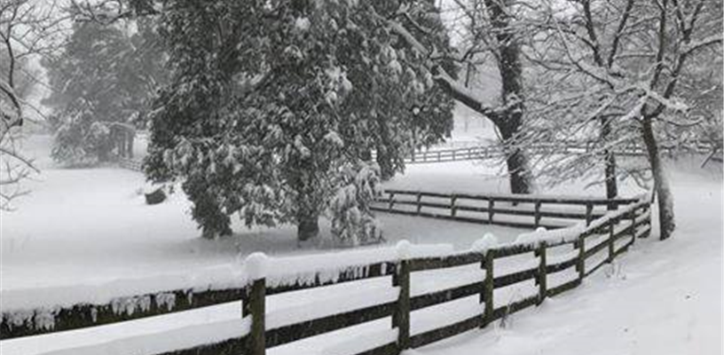 Forsyth County parks closed due to inclement weather 