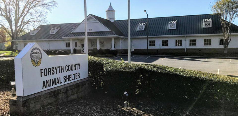 Forsyth County North Carolina Forsyth County North Carolina