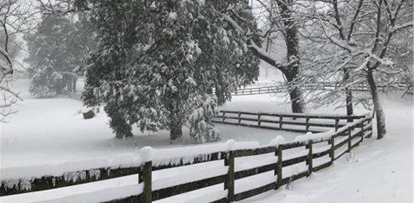 County parks are now open 