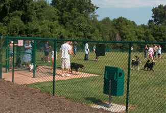 Dog Park